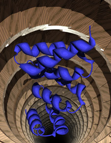 A schematic representation of a protein folding landscape